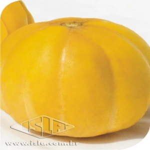 MELAO GAUCHO REDONDO SP 10 UN 10 GR