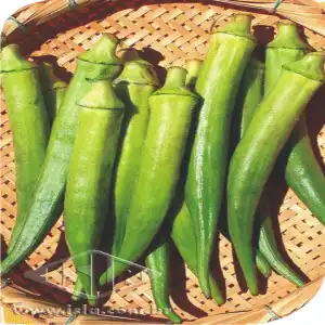 QUIABO SANTA CRUZ P1E ALUM. 100 GR  (PRO)