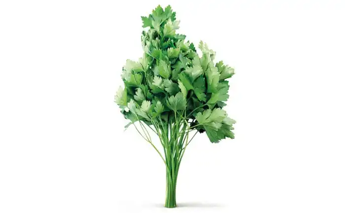 SALSA LISA CHACARA (STAND-UP 100G)