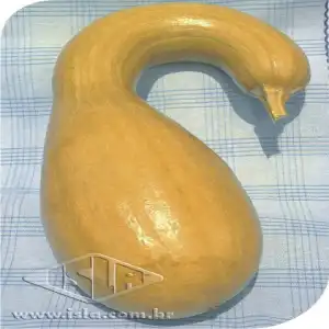 ABOB. MENINA BRAS. SP 10 UN 8 GR