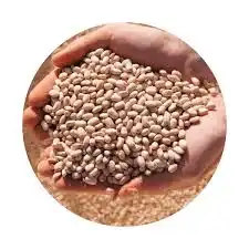 SEMENTE DE FEIJAO ANFC 9 S2 P:P2 7  2SACOS DE 25 KG