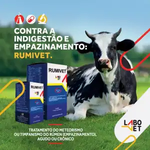 RUMIVET ORAL 100 ML LABOVET