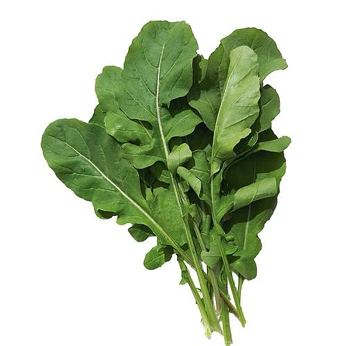 RUCULA DONATELLA FOLHA LARGA  LATA 100G(PRO)