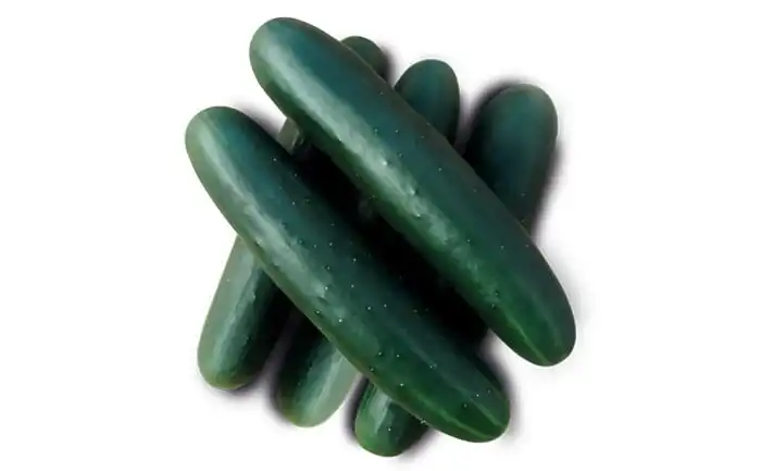 PEPINO RACER (HIBRIDO ENV 3.000 SEMENTES) 