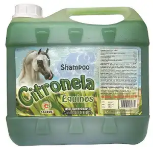 SH. CITRONELA EQUINOS CALBOS 5 LT