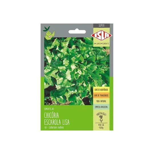 CHICORIA ESCAROLA LISA SP 10 UN 10 GR
