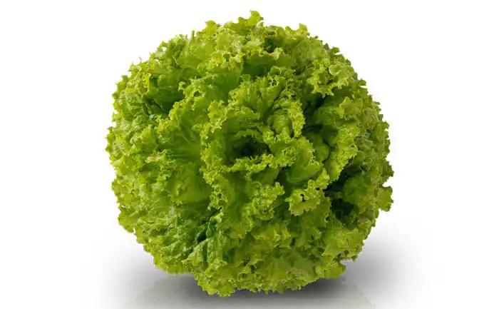 ALFACE ISADORA AF 5542 (PALETIZADA STAND-UP 7.500 SEM)