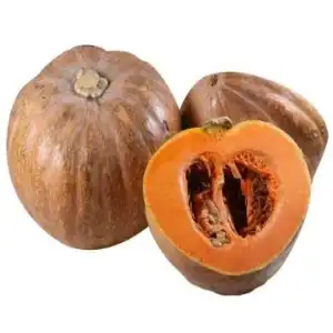 ABOB. JERIMUM DE LEITE (SERGIPANA) SP 10 UN 7 GR