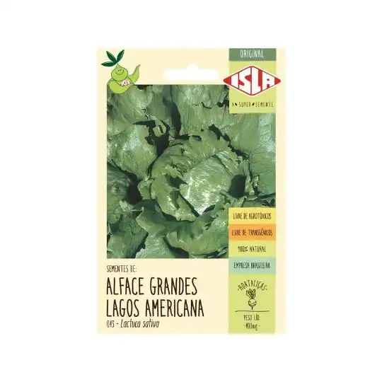 ALFACE GRANDES LAGOS AMERICANA  ORIGINAL
