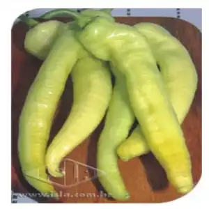 PIMENTA ALONGADA AMARELA DOCE  SP 10 ENV. 5 GR