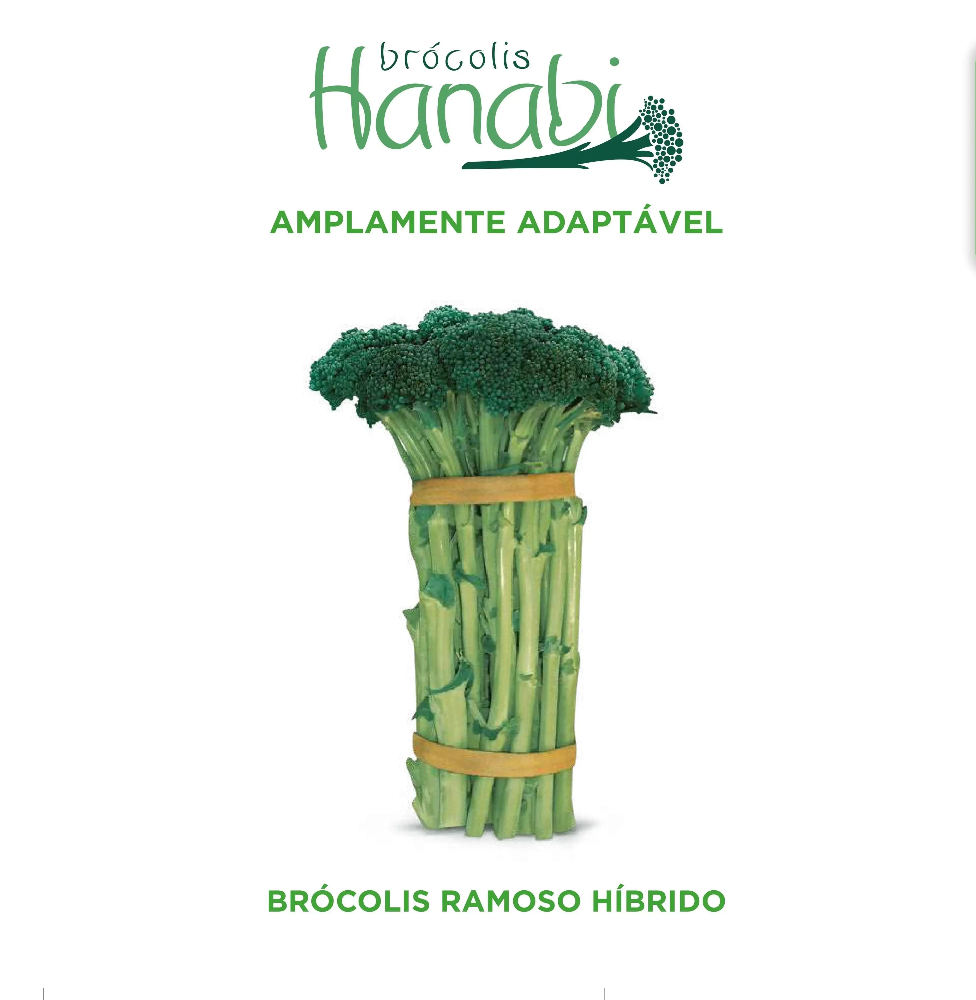 BROCOLIS HANABI (HIBRIDO ENV. 2000 SEM)