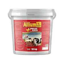 ALLIUM BALDE 10X1  KG  CALBOS