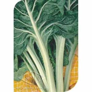 ACELGA VERDE ESCURA MT 20 ENV. 2,5 GR