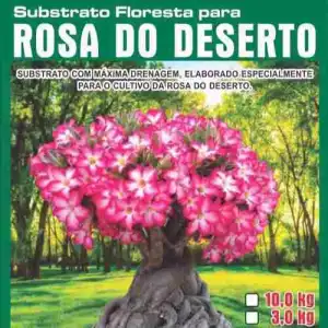 SUBSTRATO PLANT BEM ROSA DO DESERTO 03 KG