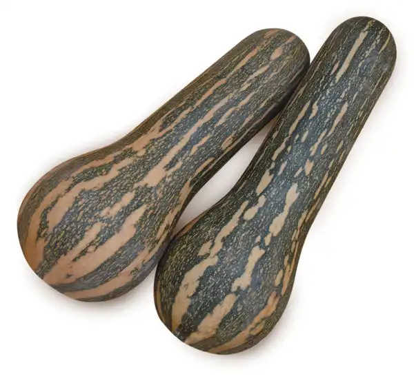 ABOB. MIRIAN (HIBRIDO STAND-UP 1000 SEM)