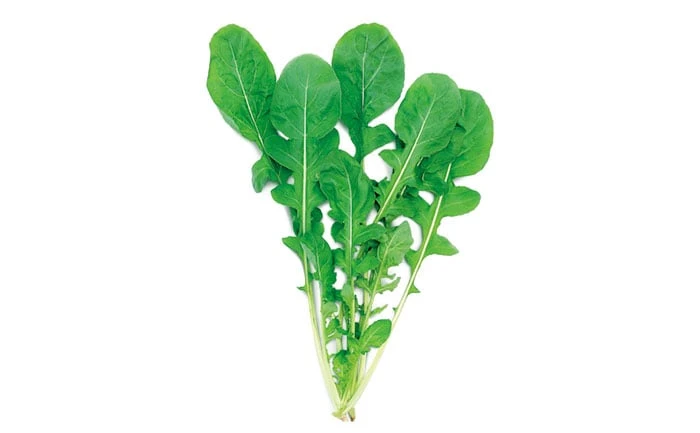 RUCULA  FOLHA LARGA (STAND-UP-500G)