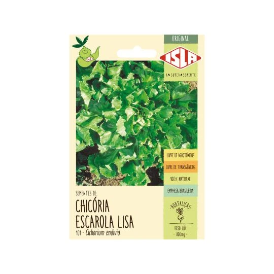CHICORIA ESCAROLA LISA ORIGINAL