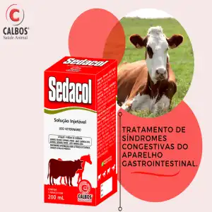 SEDACOL 100 ML