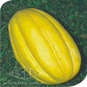 MELAO GAUCHO (CAIPIRA) MT 20 ENV. 4 GR