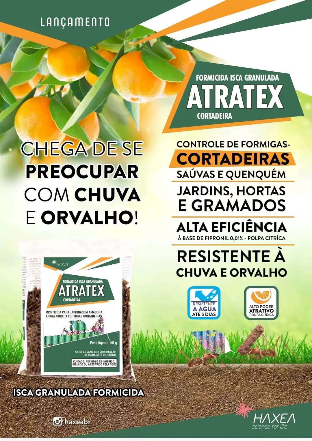 ATRATEX ISCA FORMIGA CORTADEIRA 500GR (10X50GR-FIPRONIL) 