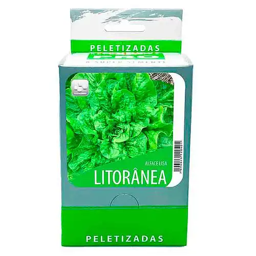  ALFACE LITORANEA LISA SCS374 PRATIPELET(20 env.100 sem.)