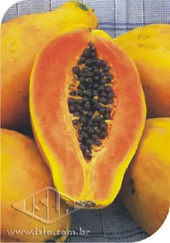 MAMAO HAVAI (PAPAYA) PCTE ALUM 50 GR