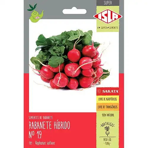 RABANETE HIBRIDO  N19 SP-SDA 10 ENV 1GR 