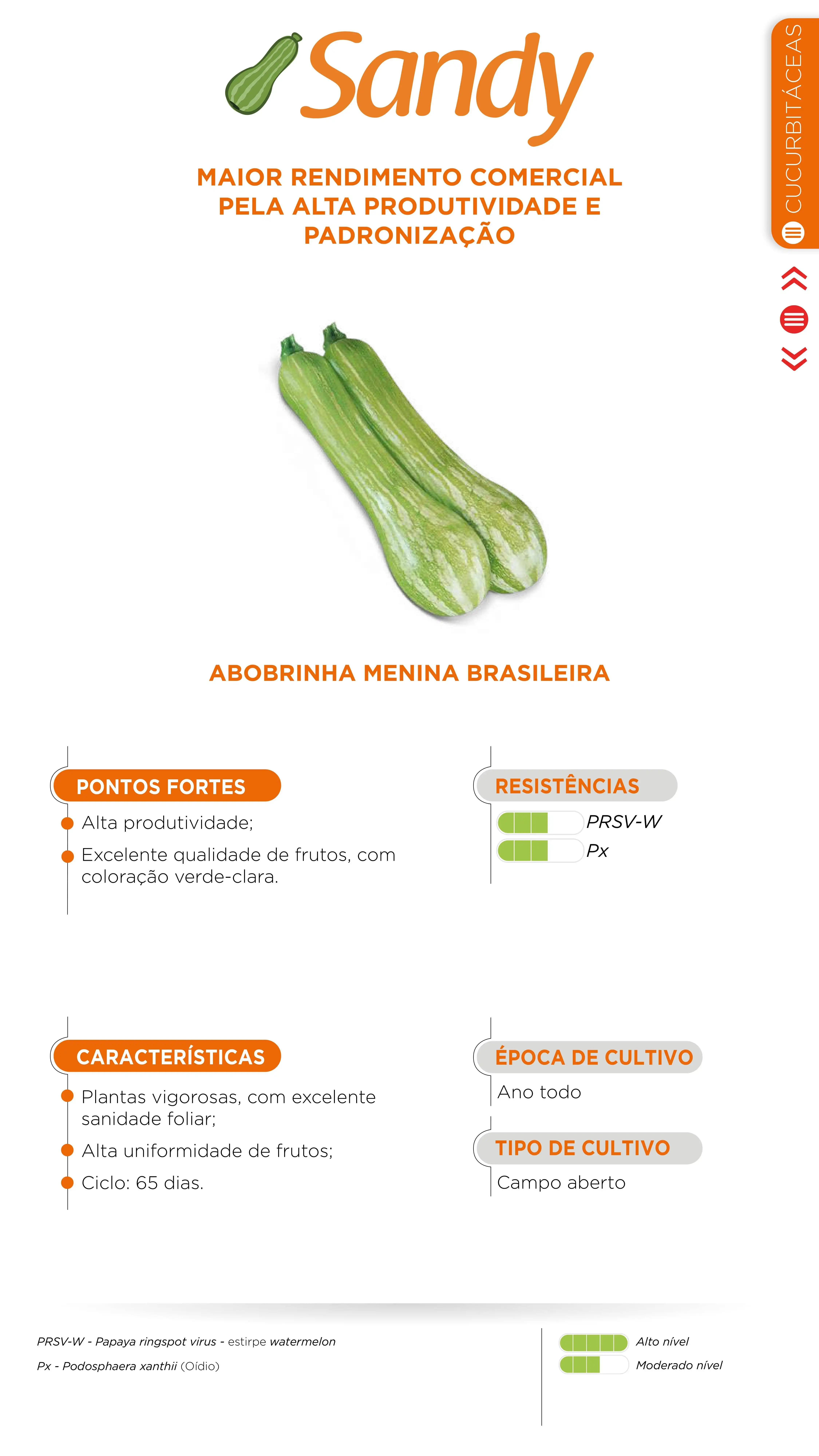 ABOB. SANDY(HIBRIDO STAND-UP) 1.000 SEM)