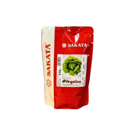 ALFACE AMERICANA ANGELINA (PALET. STAND-UP 7500 SEM)