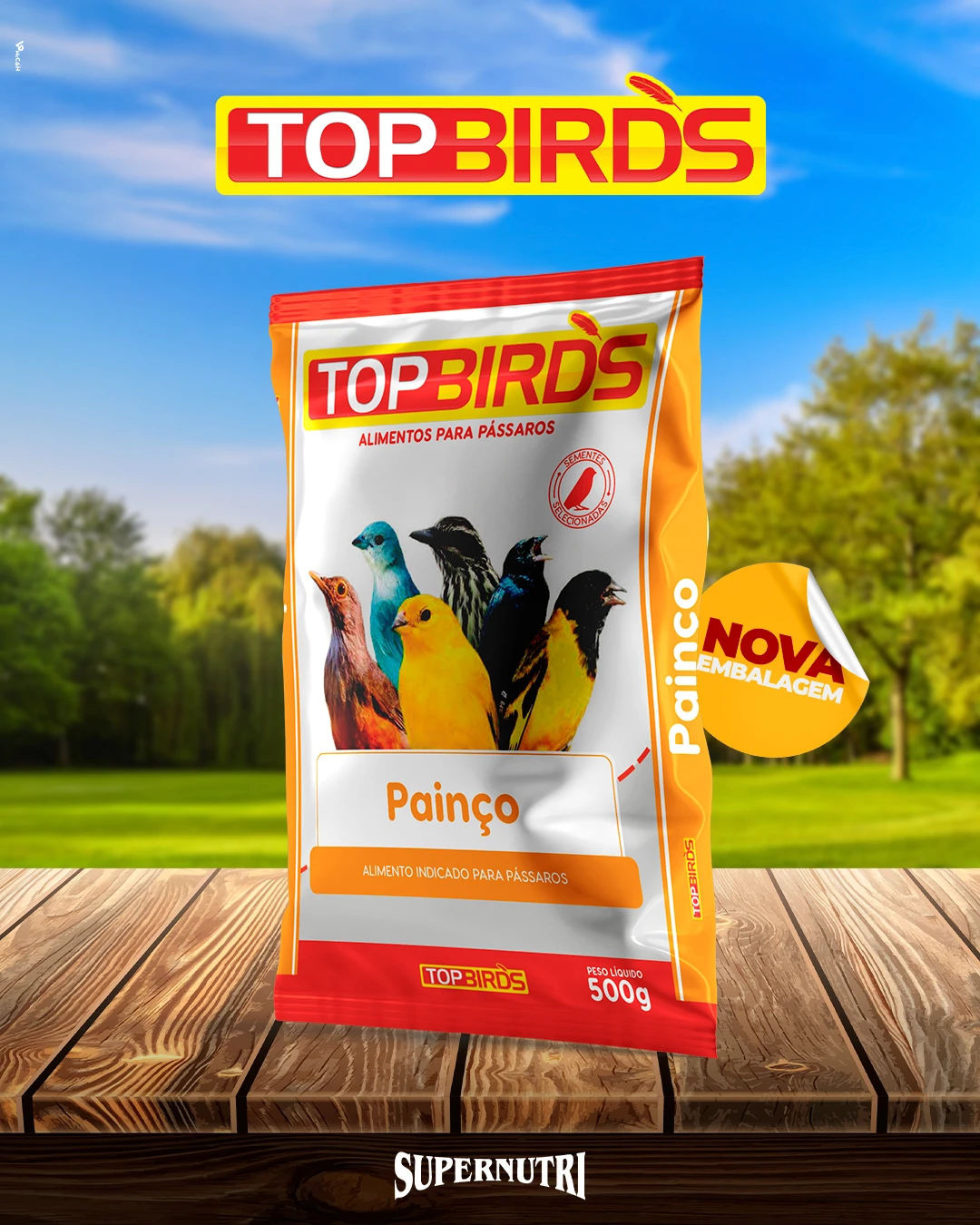 PAINCO NACIONAL AMARELO 500 GR TOP BIRDS 