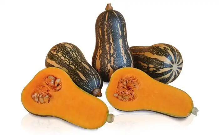 ABOB. BARBARA (HIB. STAND-UP 1000 SEM)