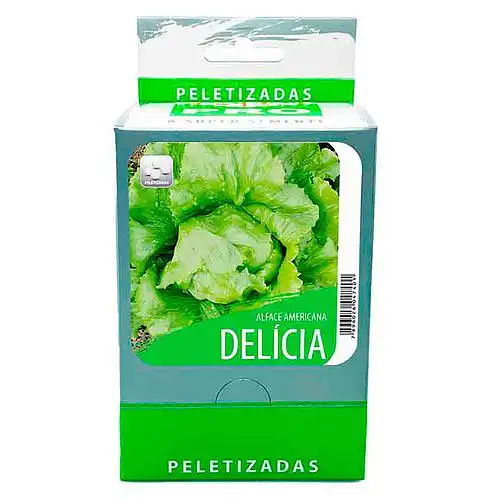  ALFACE DELICIA AMERICANA PRATIPELET (20 env.100 sem.)