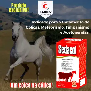 SEDACOL 200 ML