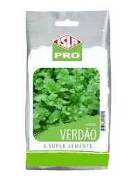COENTRO VERDAO PCT ALUM 100 GR (PRO)