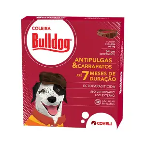 COLEIRA BULLDOG 7 MESES - 25 GR