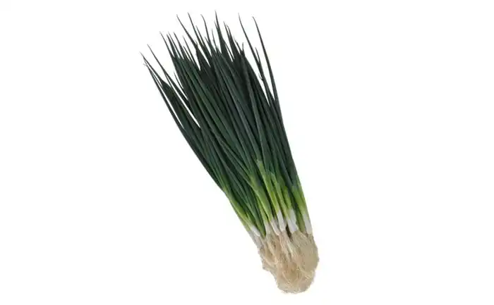 CEBOLINHA TOTEM (STAND-UP 100G)