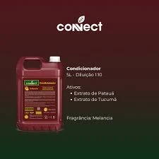 CONDICIONADOR CONNECT (MELANCIA) 1X10 5 LT