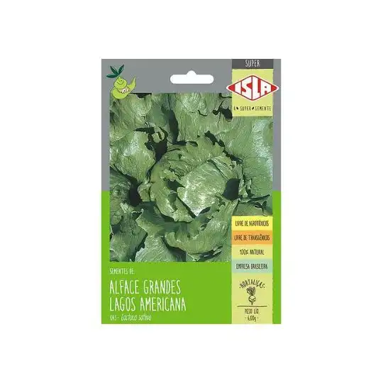 ALFACE GRANDES LAGOS AMERICANA  ORIGINAL
