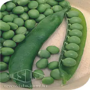 ERVILHA ITAPUA 600 P/ DEBULHAR SP 10 UN 10 GR ZZ