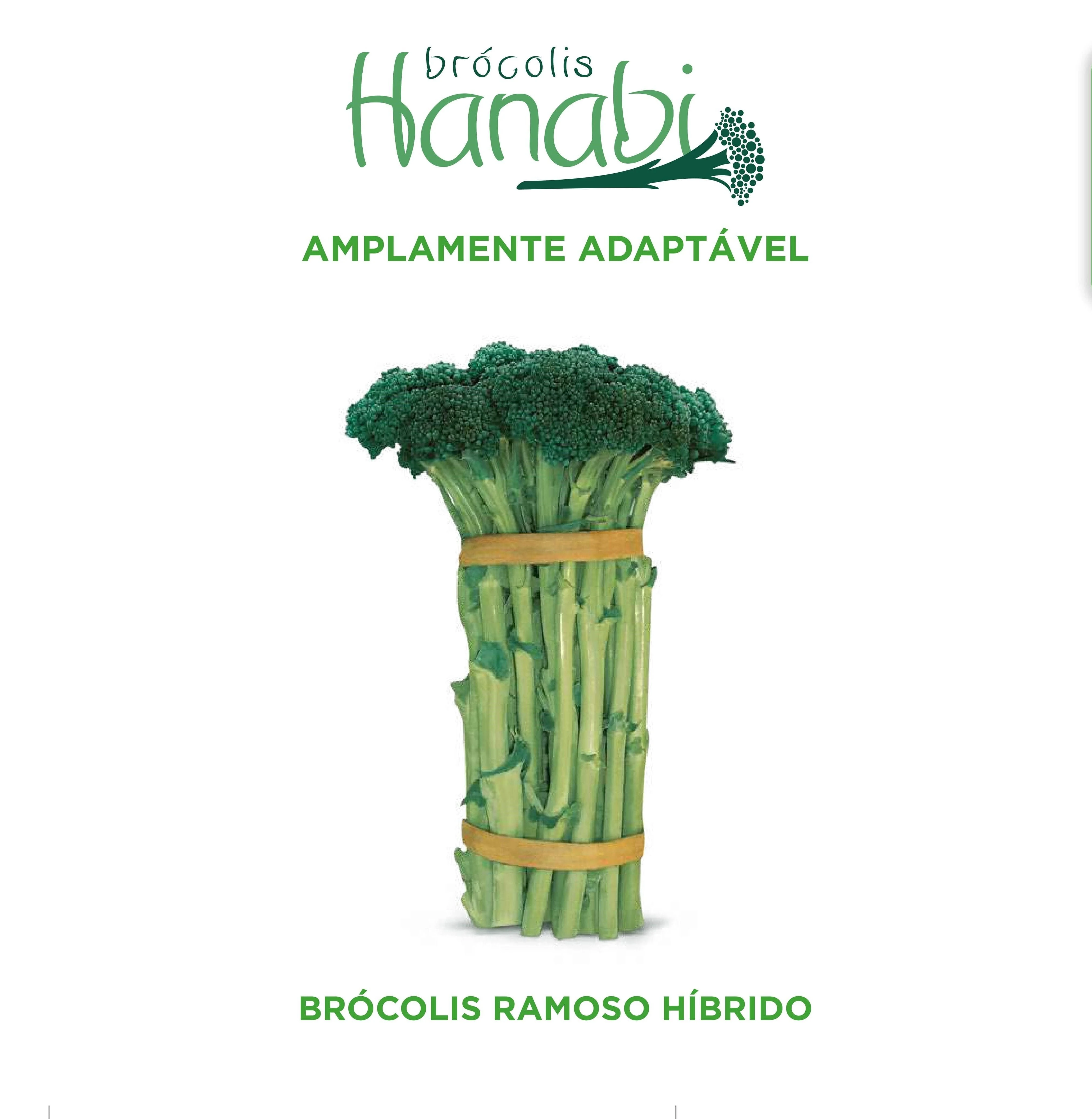 BROCOLIS HIBRIDO HANAPON ( ENV. 2000 SEM)