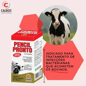 PENCIL PRONTO 50 ML