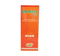 ENERGECT FC 500 ML