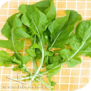 RUCULA CULTIVADA ANTONELLA SP 10 UN 8 GR
