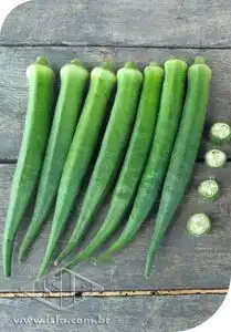 QUIABO APUIM SP 10 UN 09 GR