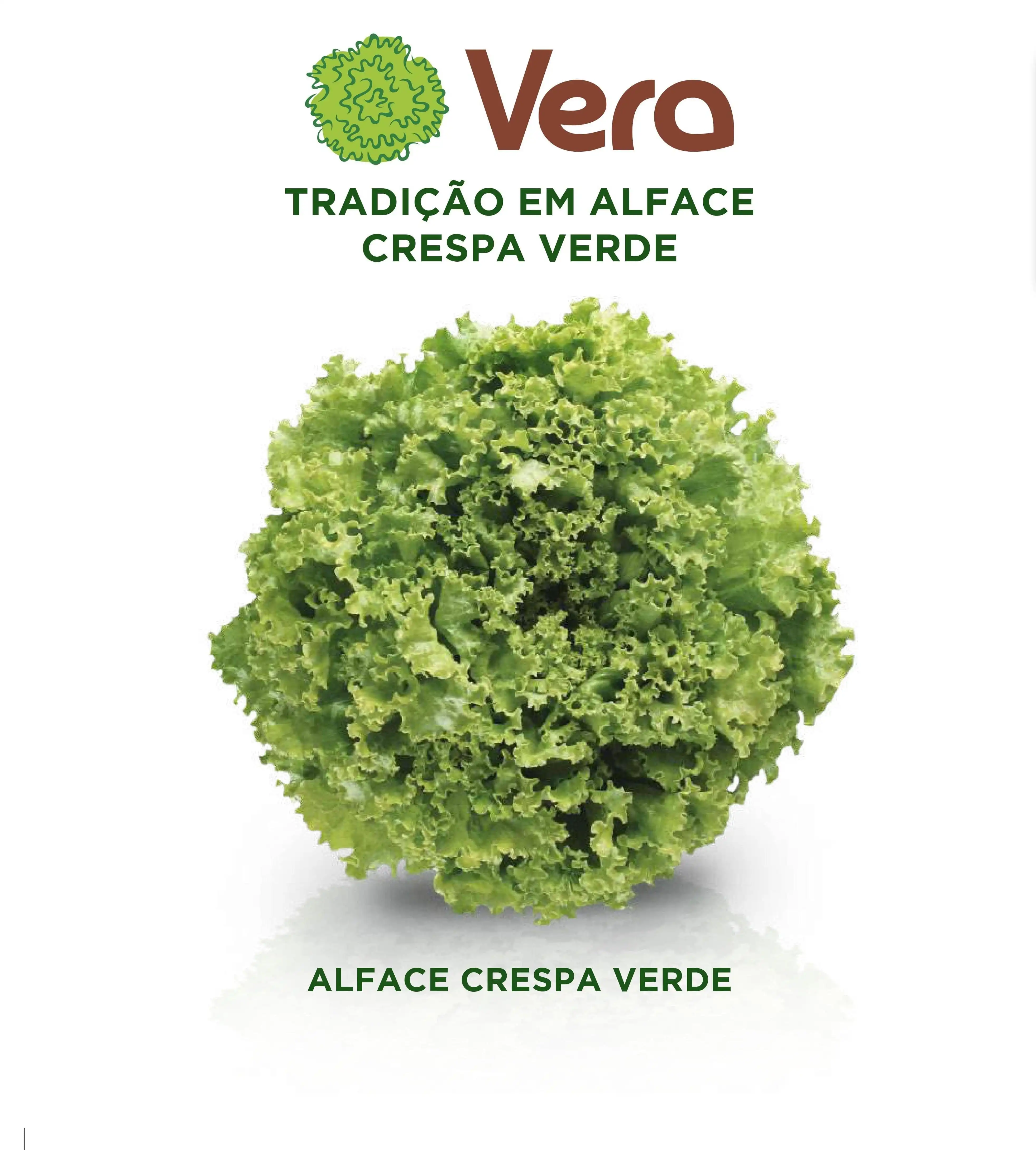 ALFACE VERA (PALETIZADA STAND-UP 25.000 SEM 1,016KG)