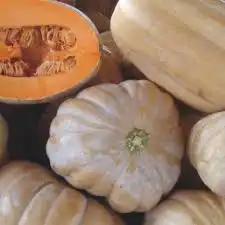 ABOB. SERGIPANA JERIMUM LEITE P1E ALUM 100 GR - PRO